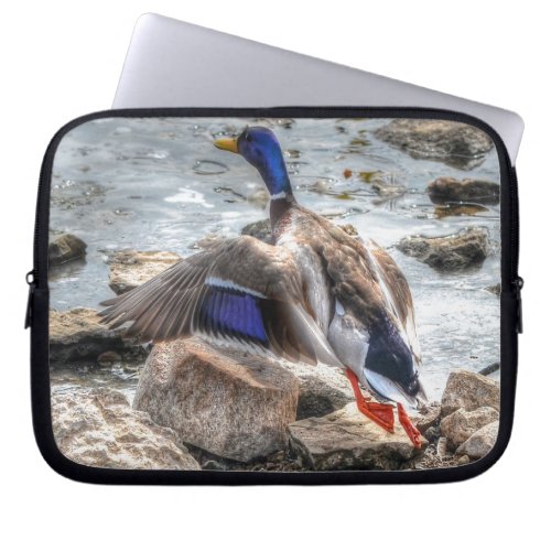 Landing Mallard Duck Drake 10 Wildlife Photo Laptop Sleeve