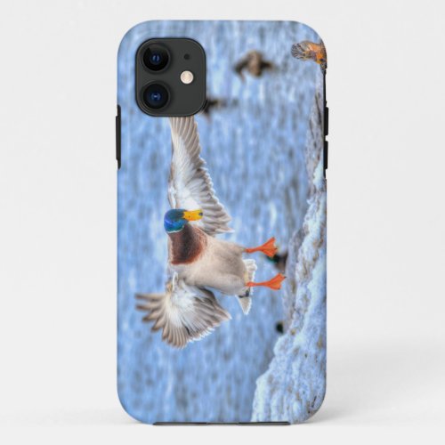 Landing Mallard Duck Drake 4 Wildlife Photo iPhone 11 Case