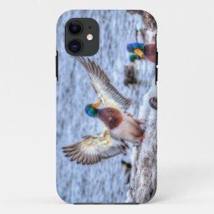 Landing Mallard Duck Drake 5 Wildlife Photo iPhone 11 Case