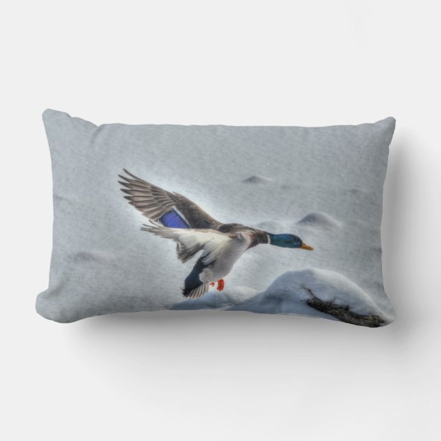 Landing Mallard Duck Drake Wildlife Photo Lumbar Pillow (Front)