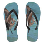 Landing Pelican Flip Flops