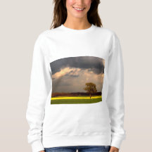 Landscape 11