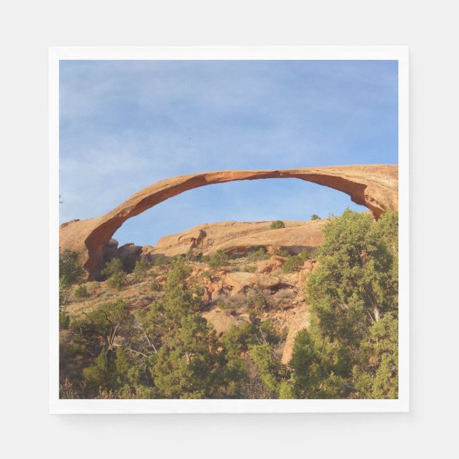 Landscape Arch at Arches National Park Napkins (Front)
