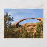 Landscape Arch at Arches National Park Postcard