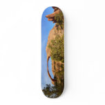 Landscape Arch at Arches National Park Skateboard