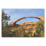 Landscape Arch at Arches National Park Tissue Paper