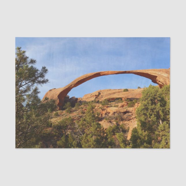 Landscape Arch at Arches National Park Tissue Paper (Front)