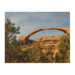 Landscape Arch at Arches National Park Wood Wall Art