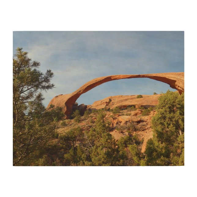Landscape Arch at Arches National Park Wood Wall Art (Front)