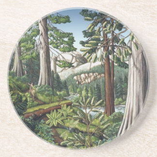 Landscape Art Coaster Old Growth Forest Coasters