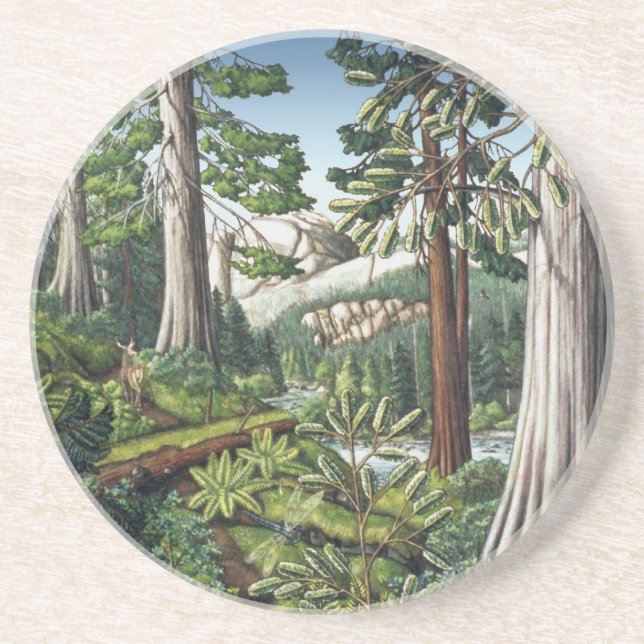 Landscape Art Coaster Old Growth Forest Coasters (Front)