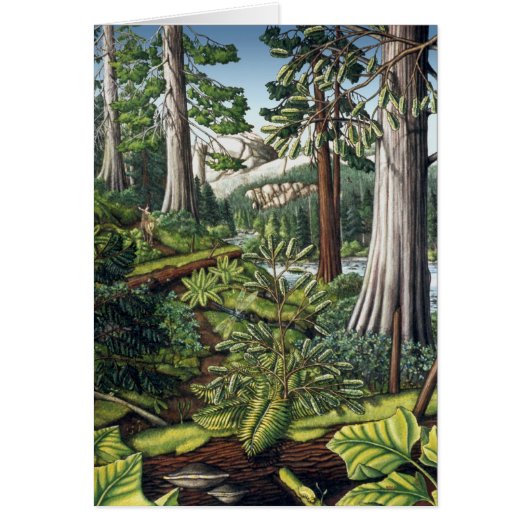 Landscape Art Print Blank Card - BC Forest Cards (Front)