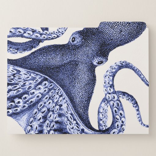 Landscape Blue Octopus File Folder | Zazzle