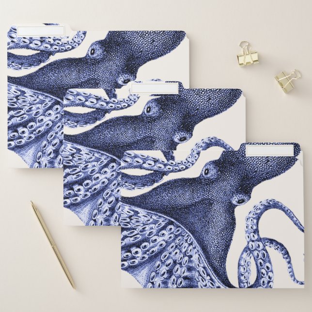 Landscape Blue Octopus File Folder (Set)