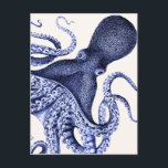 Landscape Blue Octopus Postcard<br><div class="desc">Landscape Blue Octopus by Fab Funky. Features an up-close shot of a purplish blue octopus.|191000D</div>