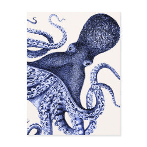 Landscape Blue Octopus Postcard