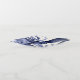 Landscape Blue Octopus