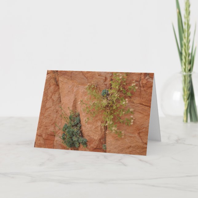 Landscape Card (Front)