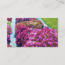Landscape Designer Profile Card - Customizable