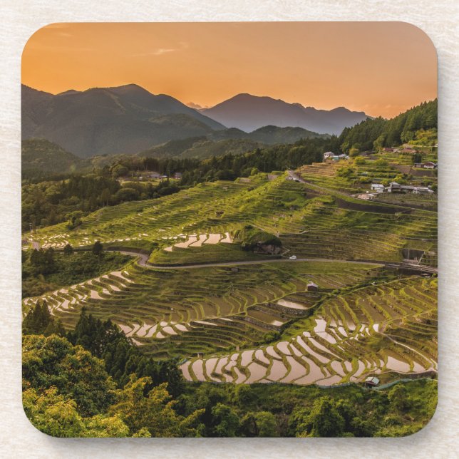 Landscape Drink Coaster (Front)