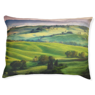 Landscape Greenery: Light Painted Serenity Pet Bed