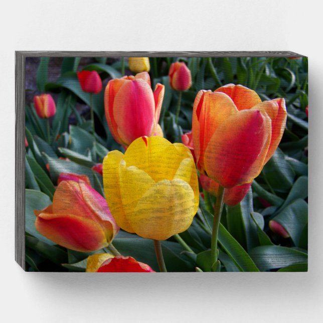 Landscape Horizontal Photo Black Edge Wooden Box Sign (Front Horizontal)