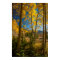 Landscape in San Juan Mountains