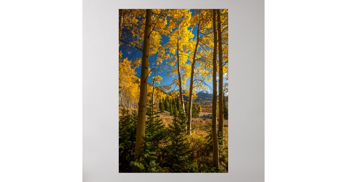 Landscape in San Juan Mountains Poster | Zazzle