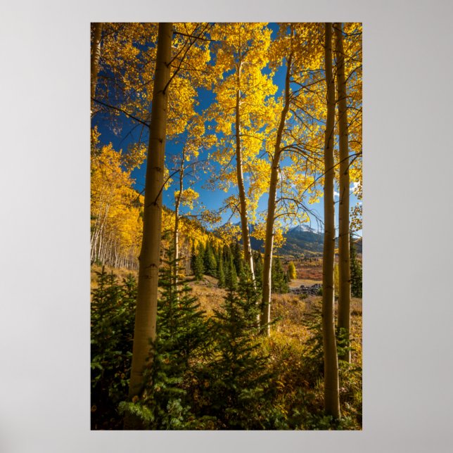 Landscape in San Juan Mountains Poster (Front)