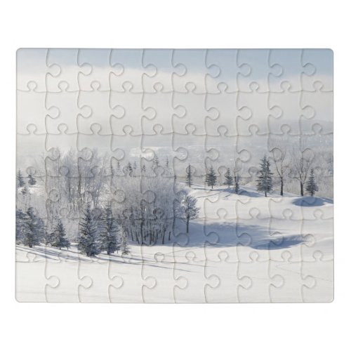 Landscape in Winter Coat Jigsaw Puzzle