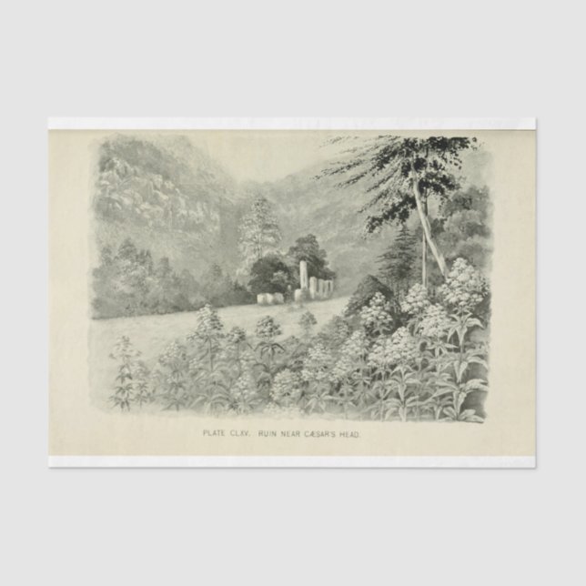 Landscape Mountain Flowers Ephemera Decoupage Tissue Paper (Front)