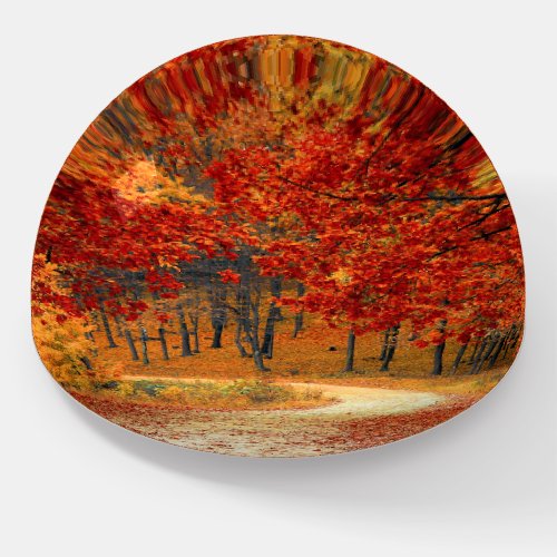 Landscape Nature Autumn Colors Fall  Paperweight