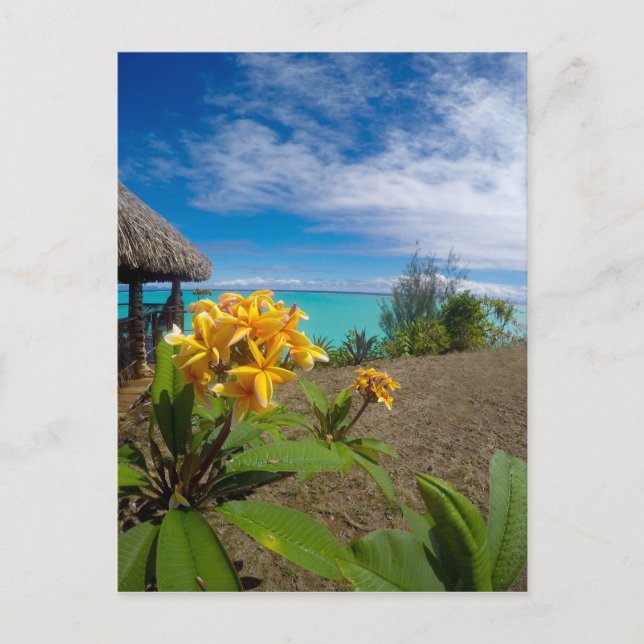 Landscape of bora bora postcard (Front)