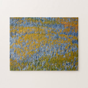 Landscape of Forest in Autumn Jigsaw Puzzle