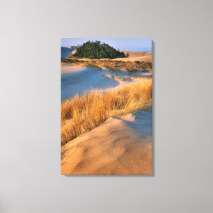 Landscape Of Oregon Sand Dunes Canvas Print