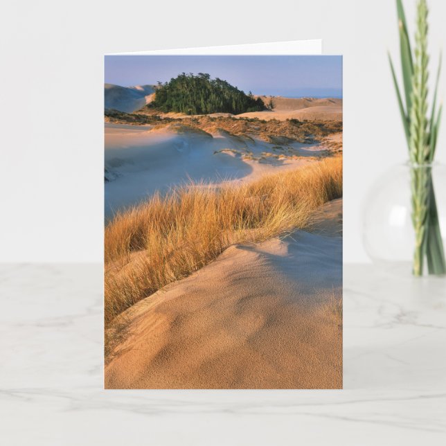 Landscape Of Oregon Sand Dunes Card (Front)