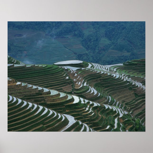 Landscape of rice terraces in the mountain, 2 poster (Front)