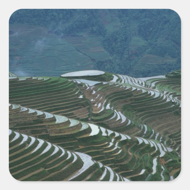 Landscape of rice terraces in the mountain, 2 square sticker (Front)
