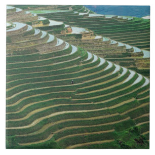 Landscape of rice terraces in the mountain, 3 ceramic tile