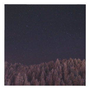 LANDSCAPE PHOTO OF TREES FAUX CANVAS PRINT