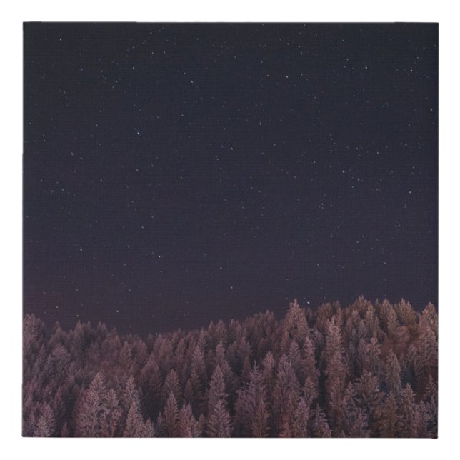 LANDSCAPE PHOTO OF TREES FAUX CANVAS PRINT (Front)