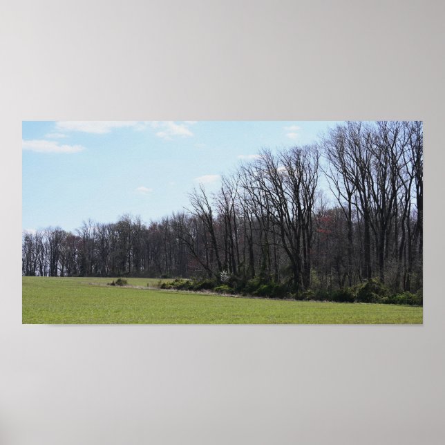 Landscape Photo Poster (Front)