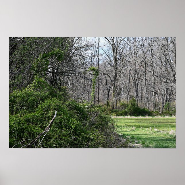 Landscape Photo Poster (Front)