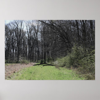 Landscape Photo Poster