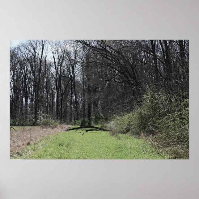 Landscape Photo Poster (Front)