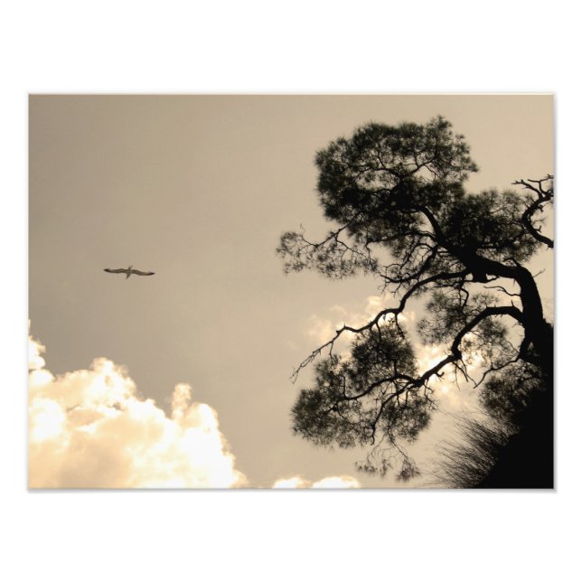 landscape photo print (Front)