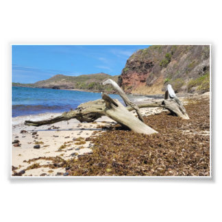 landscape photo print