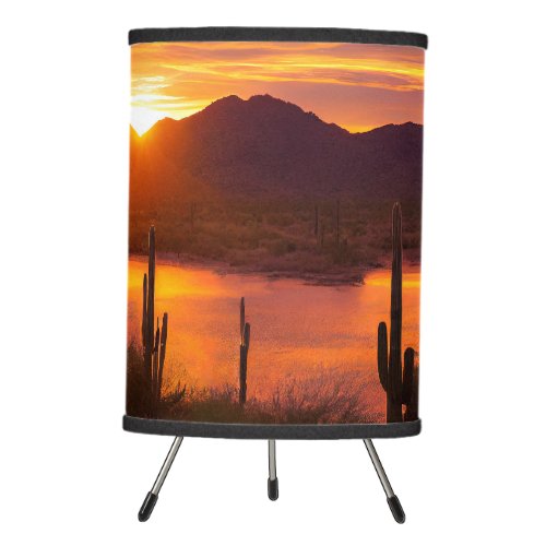 Landscape Photography Sunset Desert Lamp