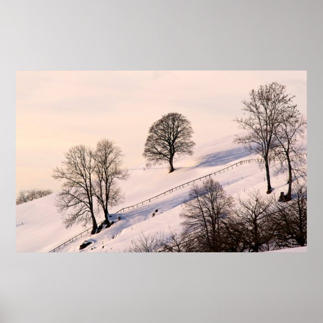 LANDSCAPE POSTER (Front)