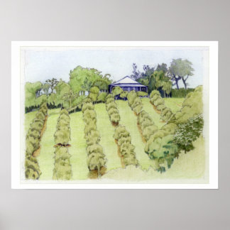 Landscape Poster